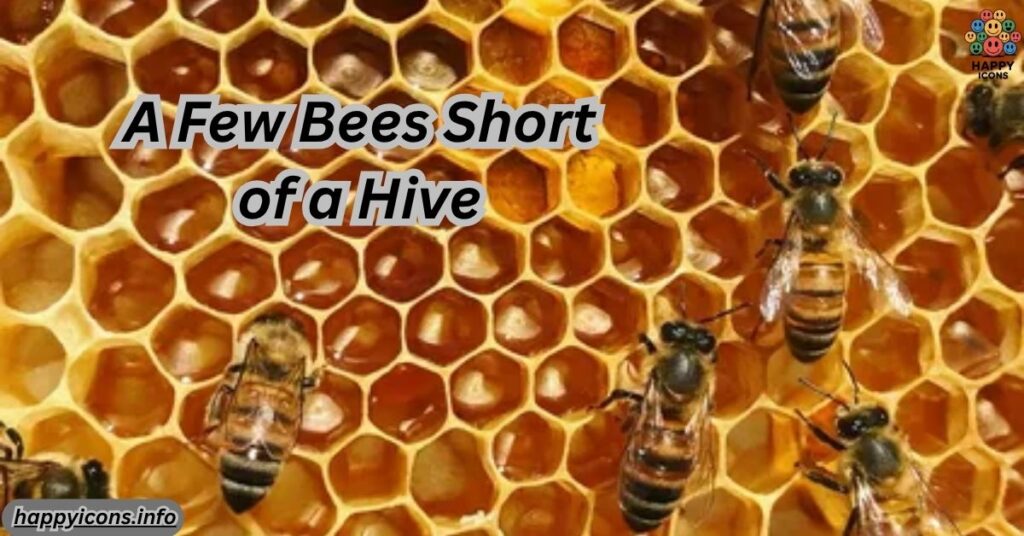 A Few Bees Short of a Hive