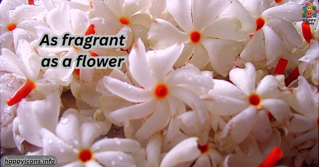 As fragrant as a flower