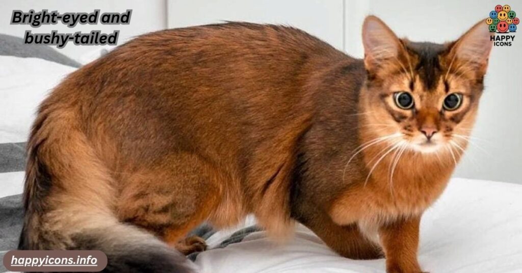 Bright-eyed and bushy-tailed