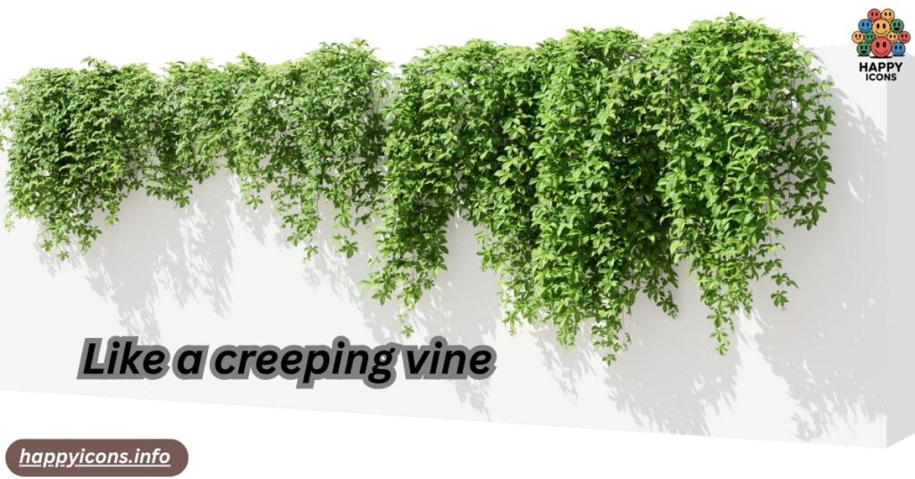 Like a creeping vine