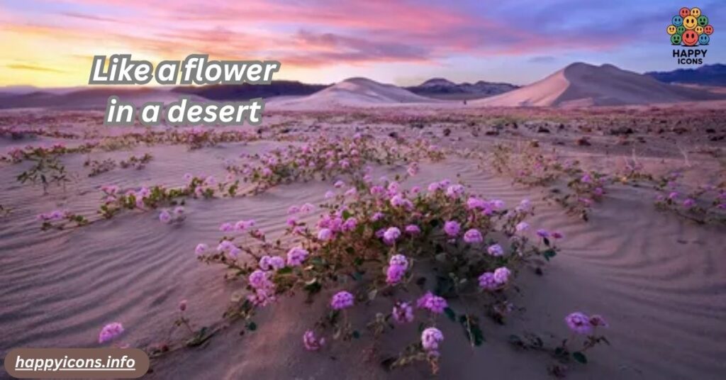 Like a flower in a desert