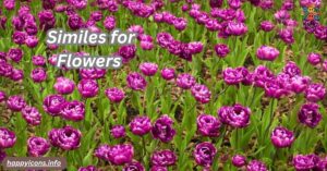 Similes for Flowers