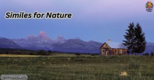 Similes for Nature