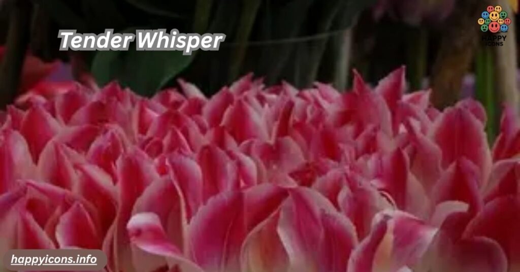 Tender Whisper