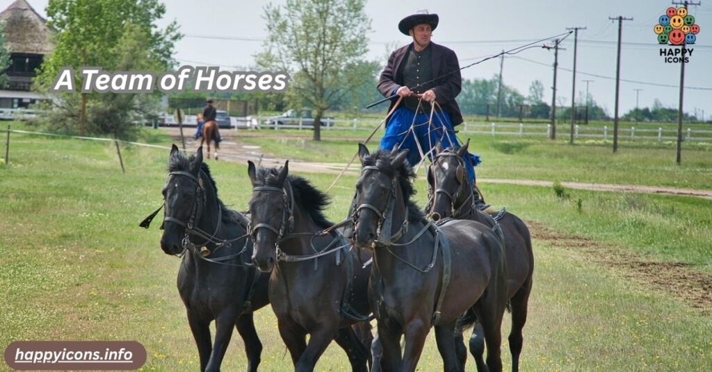 A Team of Horses