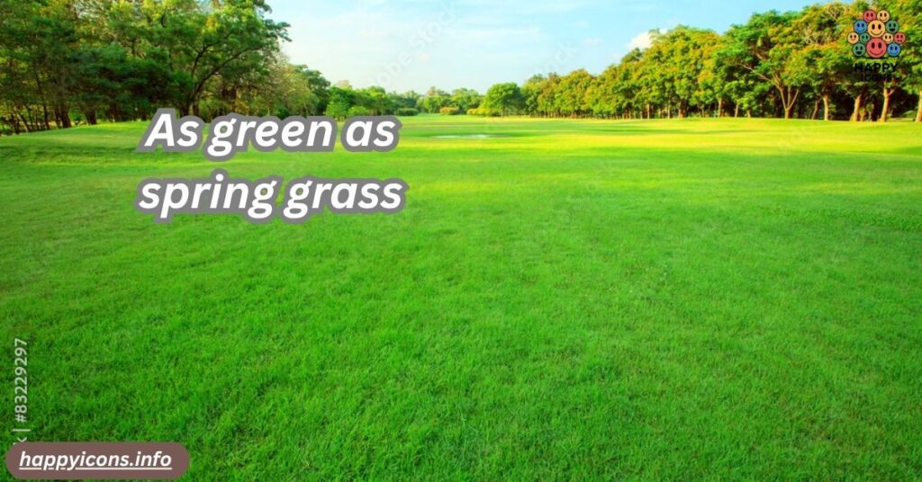 As green as spring grass
