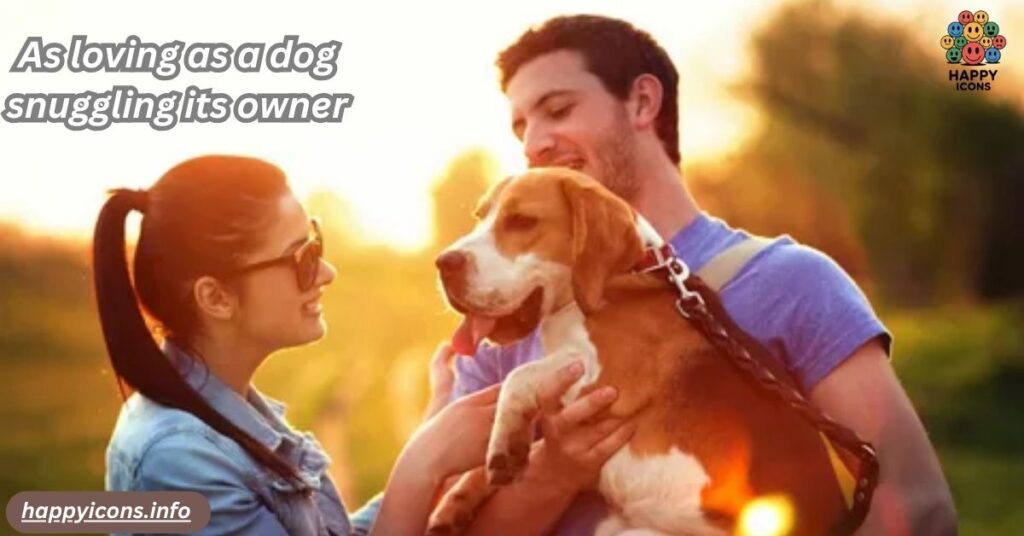 As loving as a dog snuggling its owner