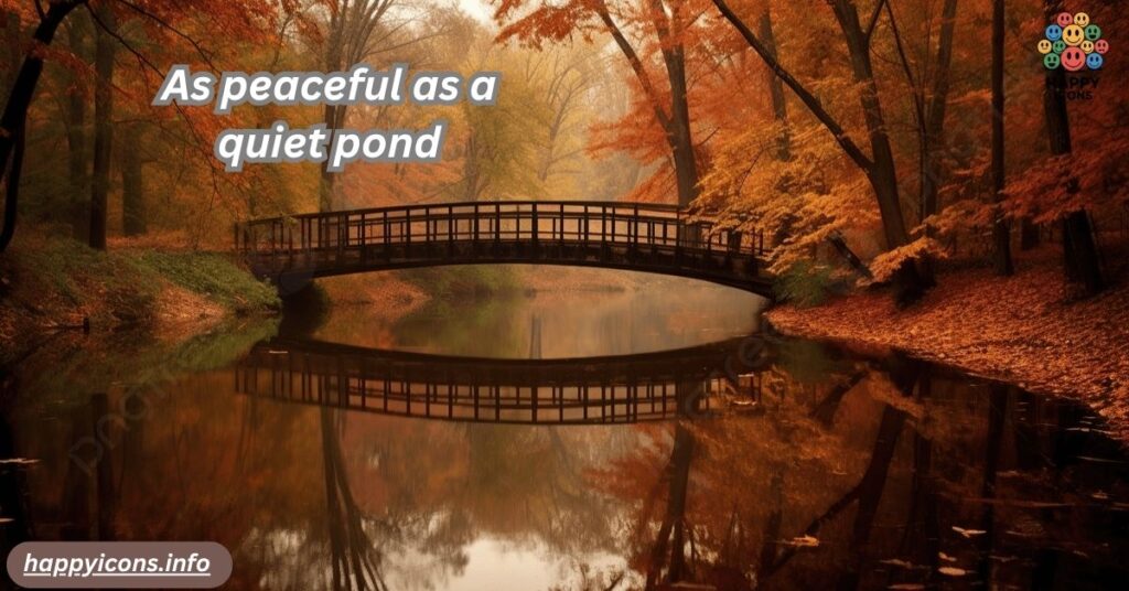 As peaceful as a quiet pond