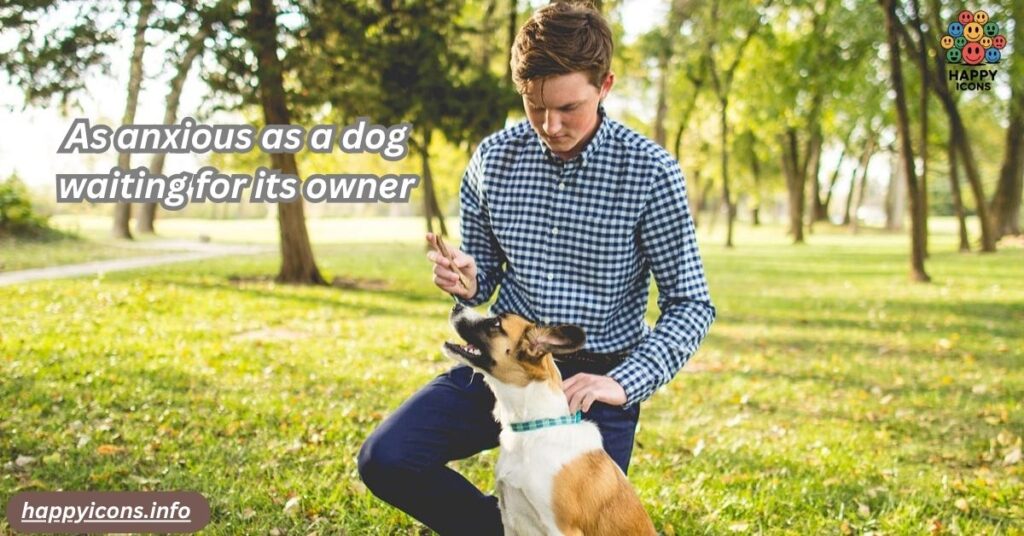 As anxious as a dog waiting for its owner