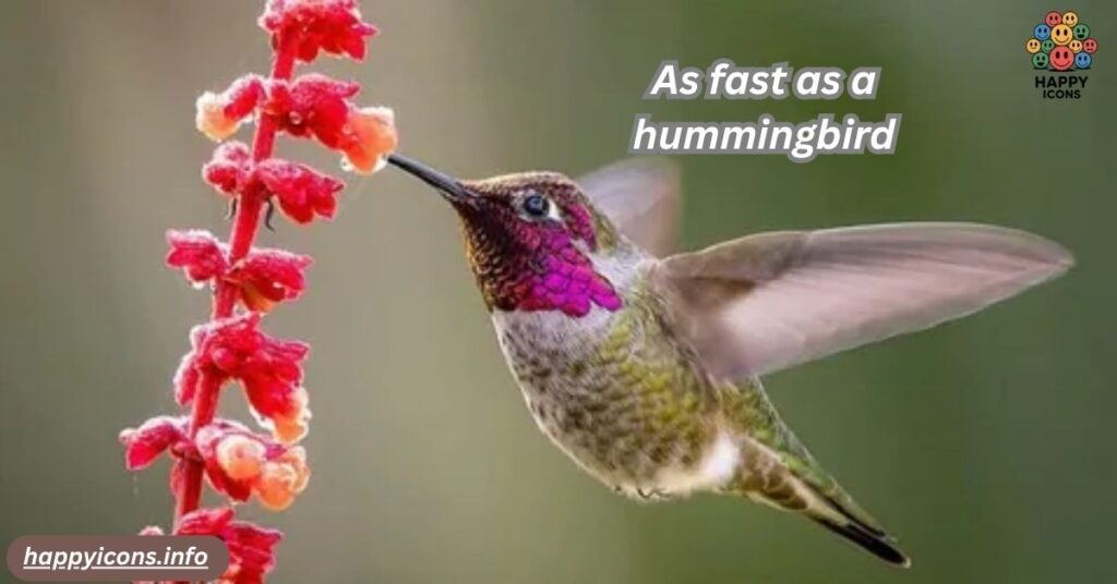 As fast as a hummingbird