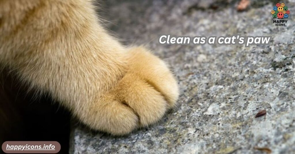 Clean as a cat's paw