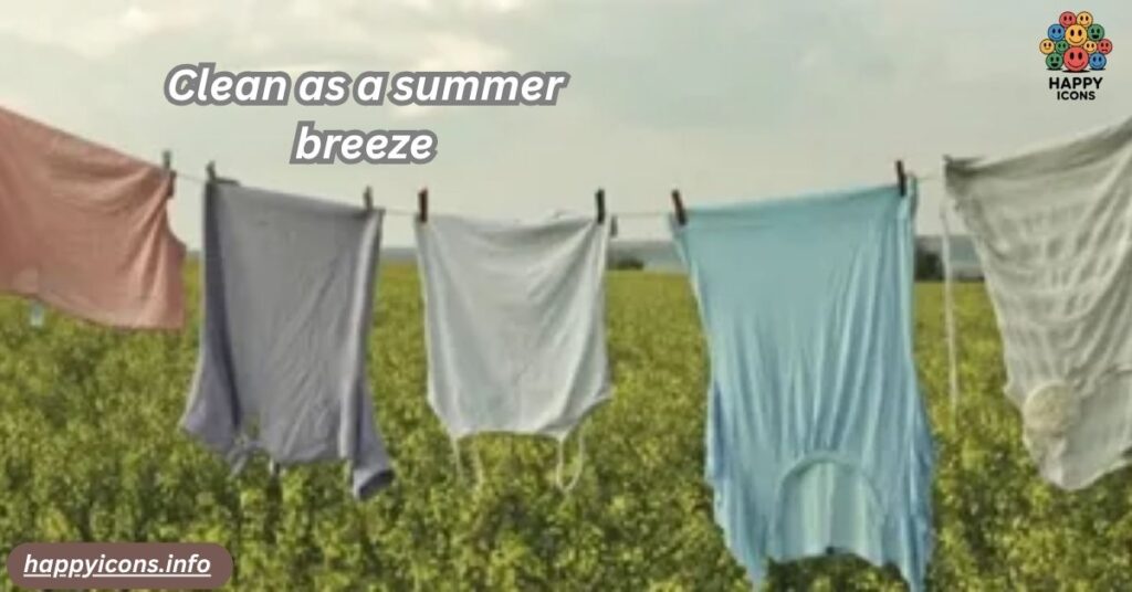 Clean as a summer breeze
