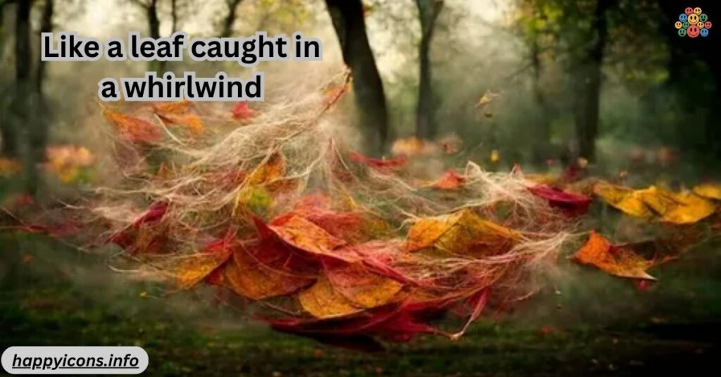 Like a leaf caught in a whirlwind