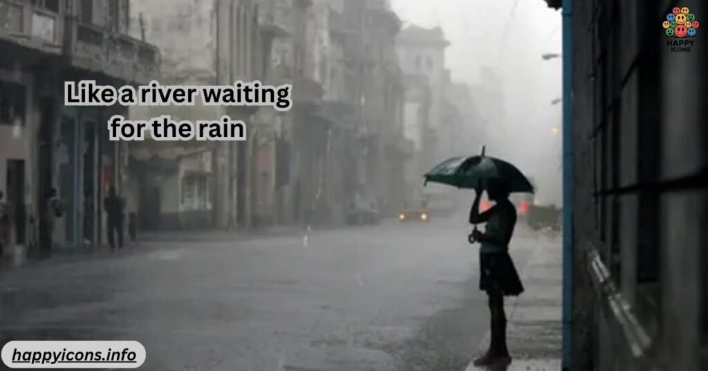 Like a river waiting for the rain