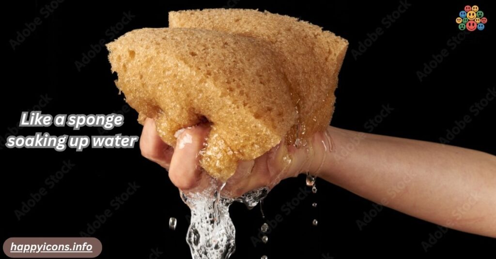 Like a sponge soaking up water