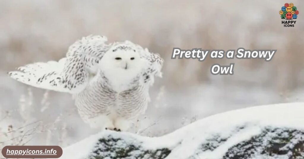  Pretty as a Snowy Owl