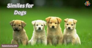 Similes for Dogs