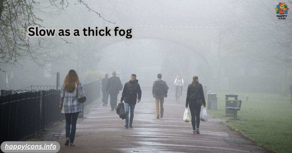 Slow as a thick fog