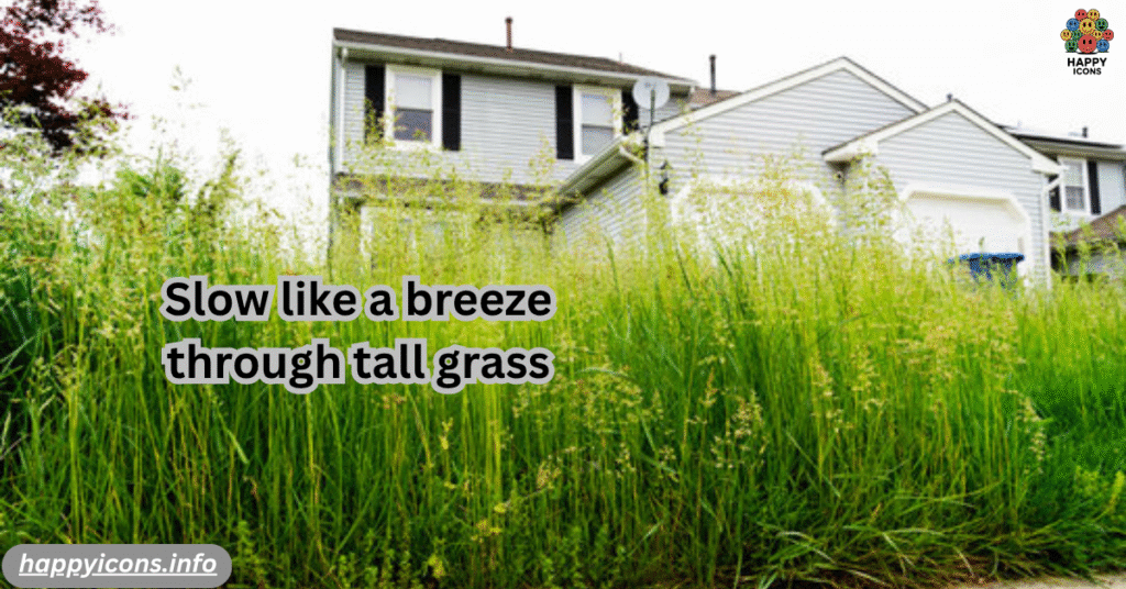 Slow like a breeze through tall grass