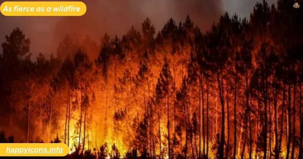 As fierce as a wildfire